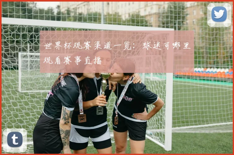 世界杯观赛渠道一览:球迷可哪里观看赛事直播