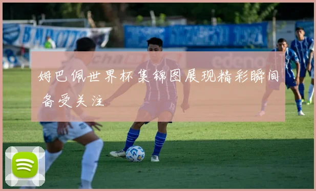 姆巴佩世界杯集锦图展现精彩瞬间 备受关注
