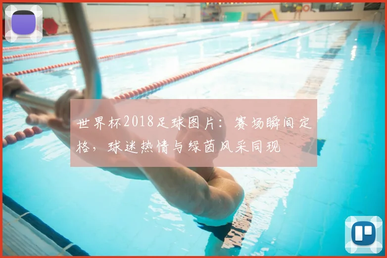 世界杯2018足球图片:赛场瞬间定格,球迷热情与绿茵风采同现