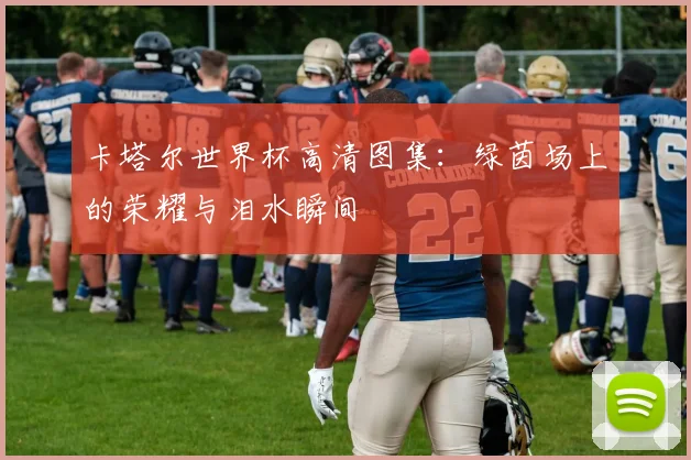 卡塔尔世界杯高清图集:绿茵场上的荣耀与泪水瞬间