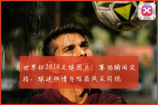 世界杯2018足球图片：赛场瞬间定格，球迷热情与绿茵风采同现