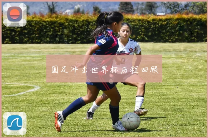 国足冲击世界杯历程回顾