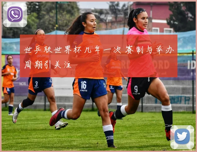 世乒联世界杯几年一次 赛制与举办周期引关注