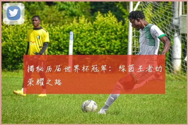 揭秘历届世界杯冠军:绿茵王者的荣耀之路