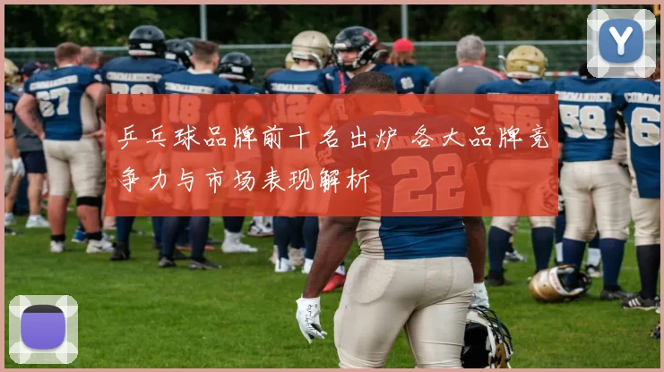 乒乓球品牌前十名出炉 各大品牌竞争力与市场表现解析
